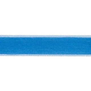Sample - Schumacher Velvet Tape Medium in Cadet For Sale