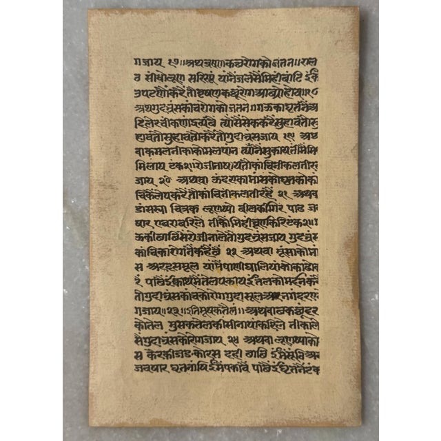 Hand Painted Hummingbird Miniature on Sanskrit Manuscript with Gold Border, 1970s For Sale - Image 3 of 4