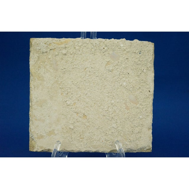 Antique Ceramic Tile from Blue Delft Factory, 1700s For Sale - Image 15 of 18