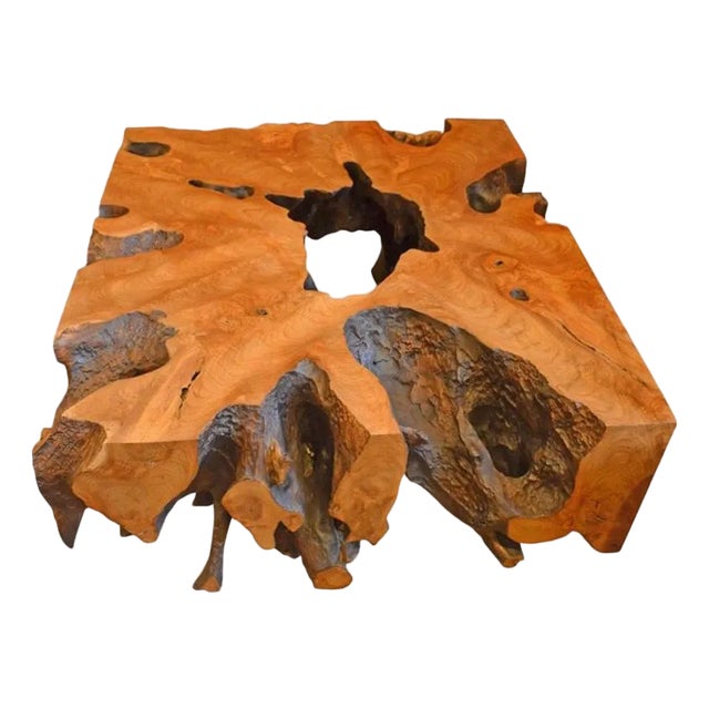 Andrianna Shamaris Teak Root Coffee Table For Sale