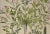 Flowering Jasmine and Laurel Plants: A Besler Hand-Colored Botanical Engraving, 1713 For Sale - Image 4 of 8