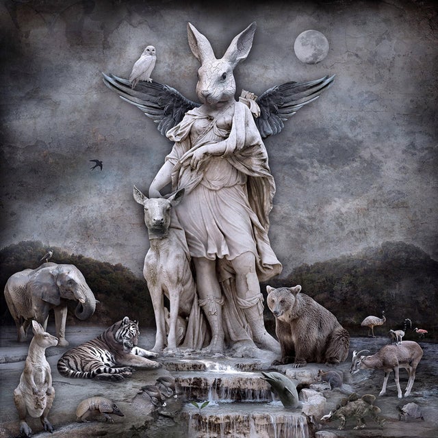 Queen of the Forest by Marcin Owczarek | Photography of a fantastical forest scene with animals For Sale