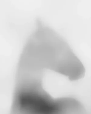 Equus Umbra I by Carys Jones Print, 24" x 30"