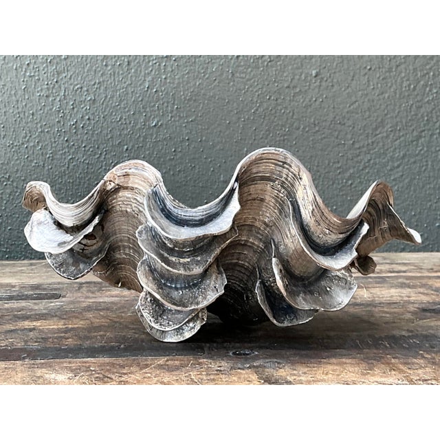 Vintage Metal Dipped Ruffle Clam Shell For Sale In West Palm - Image 6 of 12