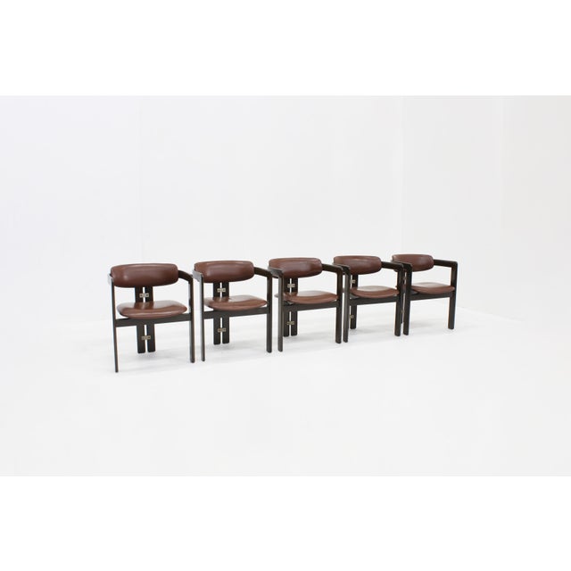 Pamplona Dining Chairs by Augusto Savini for Pozzi, 1965, Set of 5 For Sale - Image 9 of 11