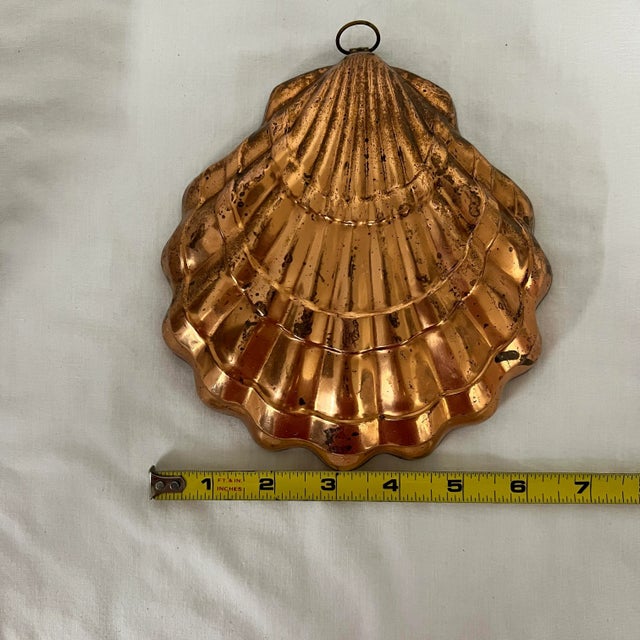 Solid Copper Clam Shell Mold, Portugal For Sale - Image 4 of 6