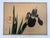Antique Japanese “Iris” woodblock print signed Sakai Hoitsu. Provanence: Cottone Auctions offered items from the David K....