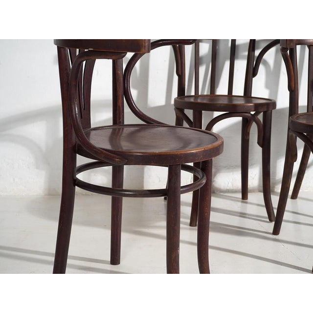 Chairs with Armrests from Thonet, 1920s, Set of 4 For Sale - Image 3 of 18