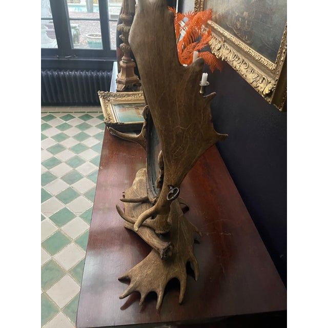 Early 20th Century Antler Vanity Mirror For Sale - Image 9 of 12