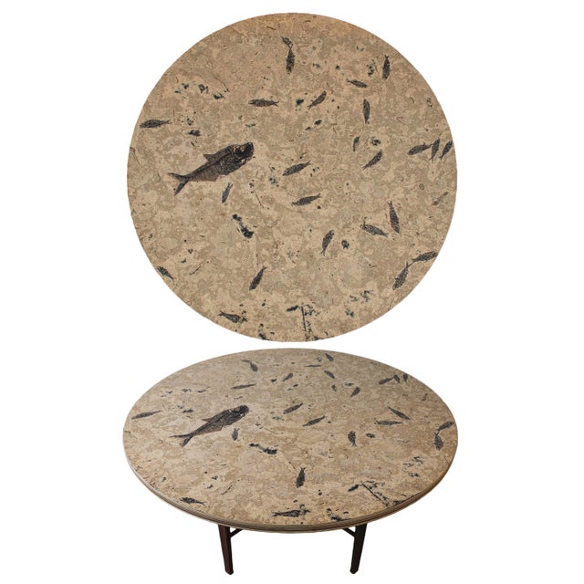 Contemporary 50 Million Year Old Fossil Fish Dining Table, Green River Formation, Wyoming For Sale - Image 3 of 6