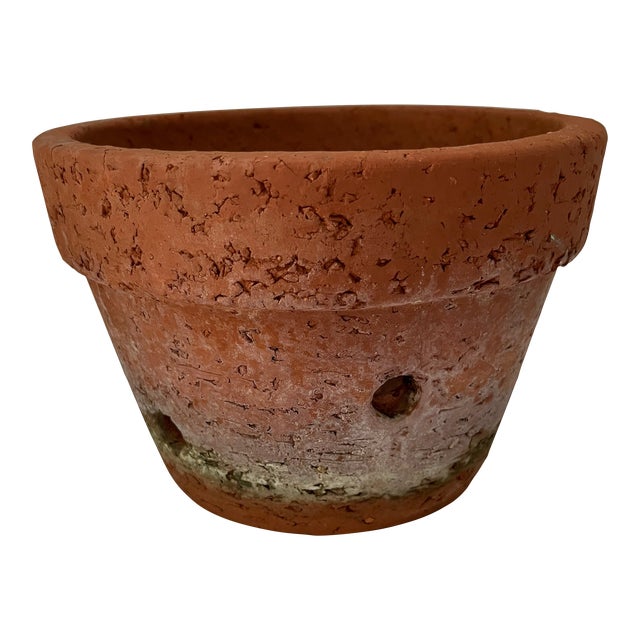 Weathered Terracotta Orchid Pot Chairish