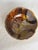 Organic Pottery Bowl by Flynn Sochon W/ Deckled Rim For Sale In Chicago - Image 6 of 8