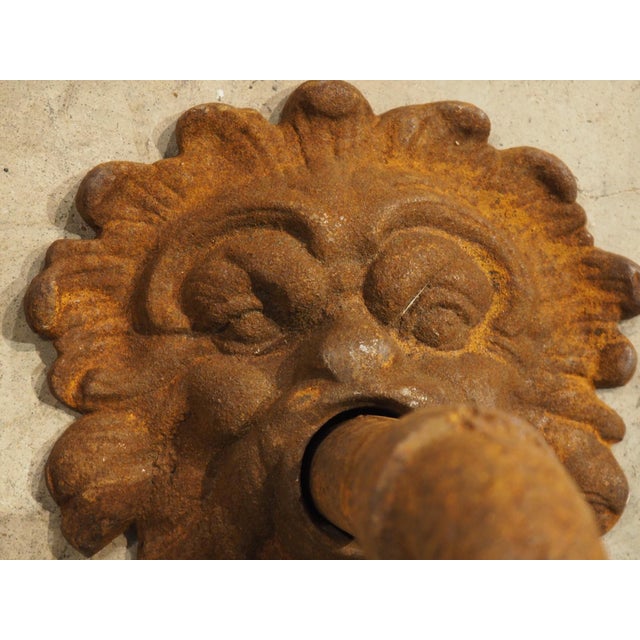 French Cast Iron Mascaron Spout With Backplate For Sale In Dallas - Image 6 of 7