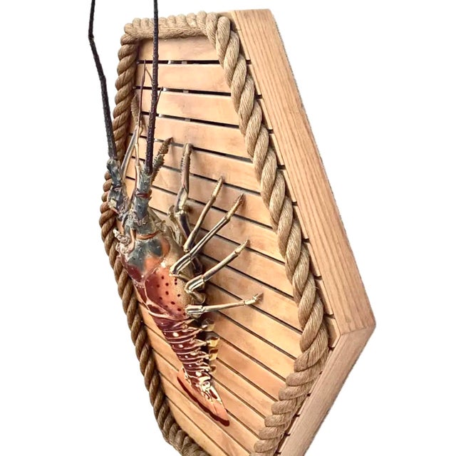 Large Taxidermy Lobster Mounted on Hexagon Shaped Wood and Rope Frame ...
