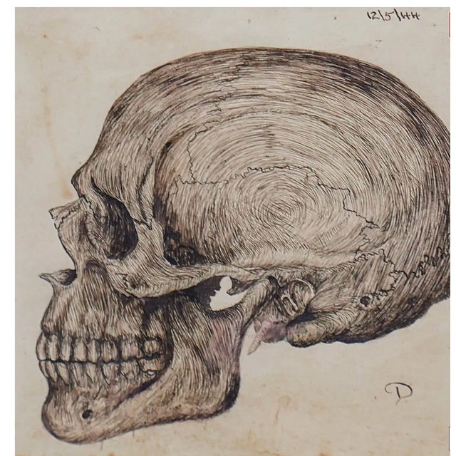 Victorian Anatomical Skull Ink Drawing, Circa 1844 Continental Initialed “D,” Framed For Sale - Image 3 of 4