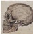 Victorian Anatomical Skull Ink Drawing, Circa 1844 Continental Initialed “D,” Framed For Sale - Image 3 of 4