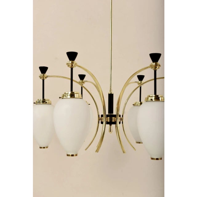 6-Light Chandelier by Bruno Gatta for Stilnovo, 1950s For Sale - Image 9 of 14