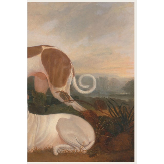 Brown Vintage Greyhound Dog Art Print by Charles Hancock - 12" X 8" For Sale - Image 8 of 9