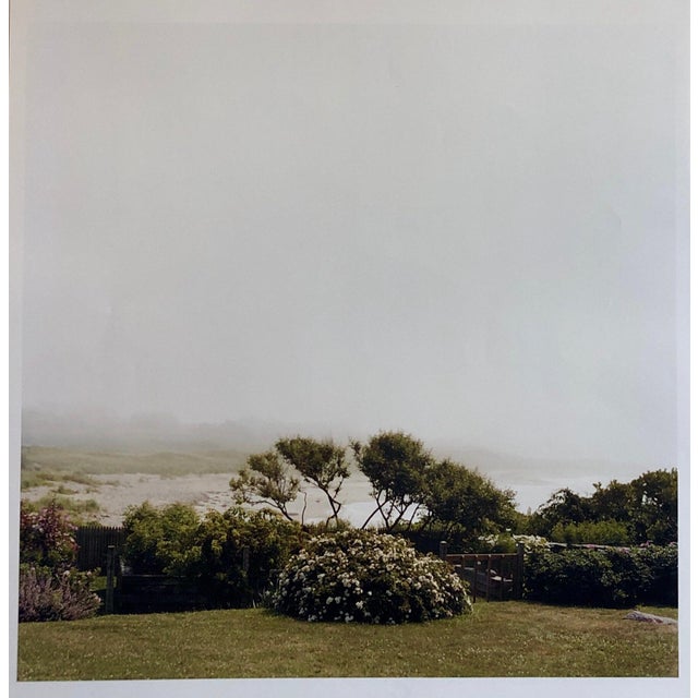Peter C. Jones 1, Wild Roses, Large Format Photo 24X20 Color Photograph Beach House, 2004 For Sale