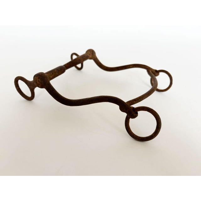1900s Antique Horse Curb Bits, Set of 3 For Sale - Image 4 of 8