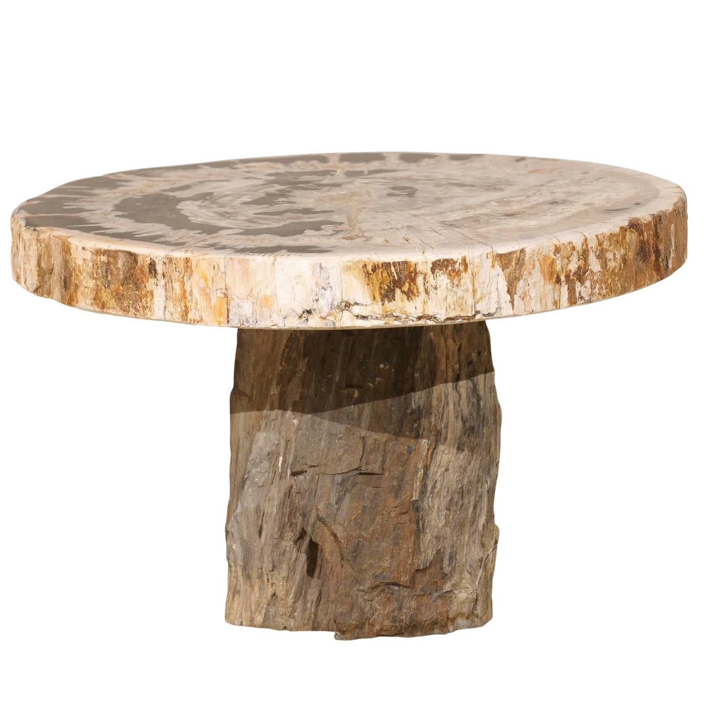 Petrified Wood Coffee Table With Round Top And Beige And Black
