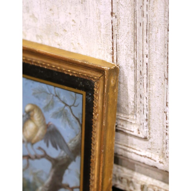19th Century French Fixé Sous Verre Bird Painting in Carved Giltwood Frame For Sale In Dallas - Image 6 of 8
