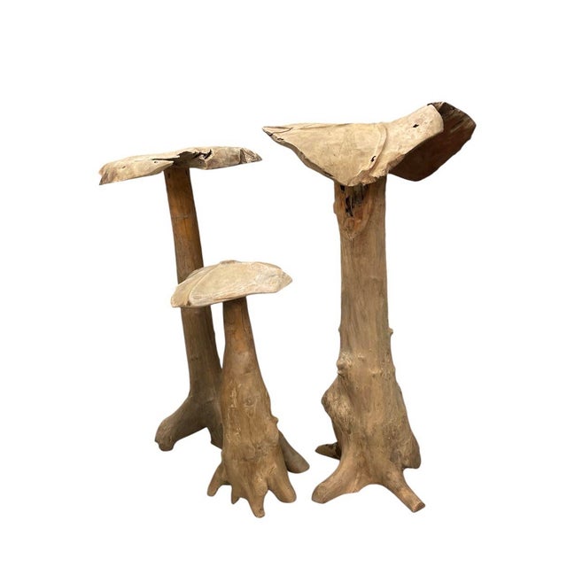 Set of Vintage Organic Teak Driftwood Mushroom Sculptures, 3 Pieces For Sale - Image 4 of 12