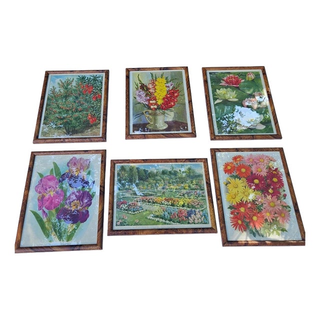 British Botanical Prints, 1930, Paper, Framed For Sale