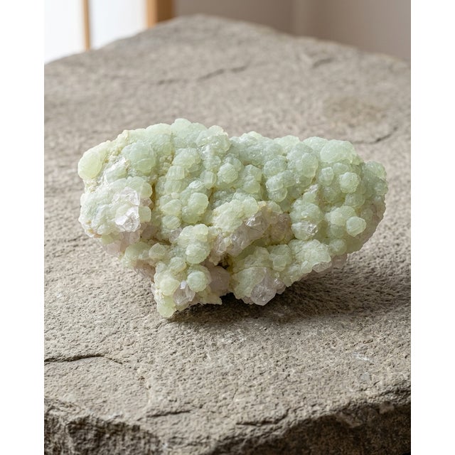 A quiet natural Prehnite matrix plate selected for its pale botanical green crystallization, low horizontal form, and raw...