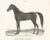 Schinz, Illustration of a Persian Stallion, 1827, Print For Sale - Image 3 of 6