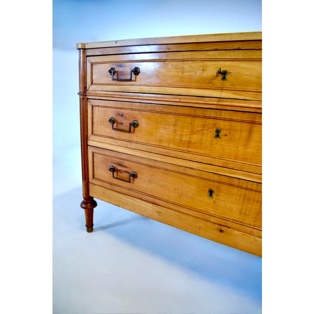 19th Century French Directoire Commode in Yew Wood, Neoclassical Style For Sale - Image 12 of 16