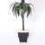 Neoclassical Pair of Palm Tree Table Lamps For Sale - Image 3 of 8