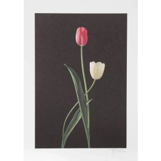 Harvey Edwards "Tulips" Offset Lithograph For Sale