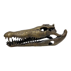 Life Sized Cast Bronze Crocodile Skull Sculpture