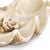 Not Yet Made - Made To Order Regina Andrew Imperial Giant Clam Replica - Large For Sale - Image 5 of 6