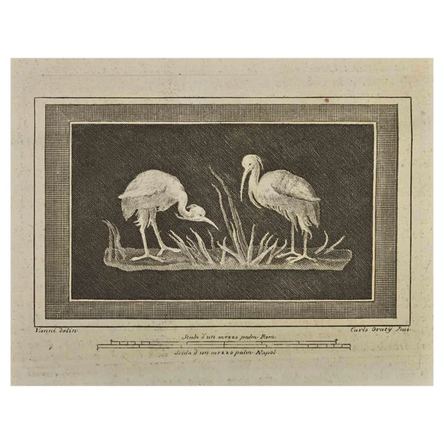 Carlo Oratij, Ancient Roman Fresco Herculaneum, Etching, 18th Century For Sale