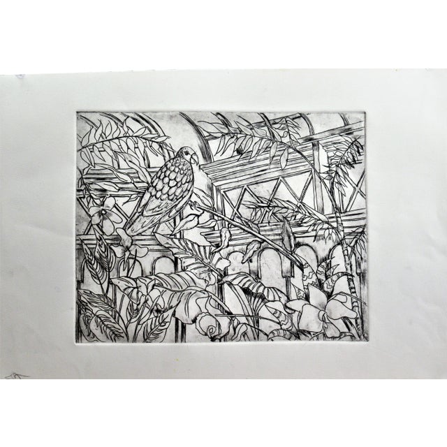 Arnold A. Grossman, Bird, Circa 1980 For Sale