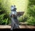 Early 20th Century Early 20th Century Spi Frog Family Joy of Reading Aluminum Garden Sculpture For Sale - Image 5 of 6