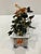 Chinese Chinese Hard Stone Flowers For Sale - Image 3 of 6