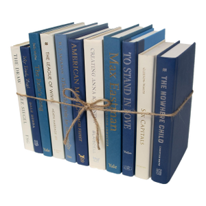 Decorative Books - Coastal Shores Book Bundle - 1 Foot of Blue Books