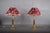 Neoclassical 1970s Brass and Wood Table Lamps With Pleated Floral Shades - a Pair For Sale - Image 3 of 9