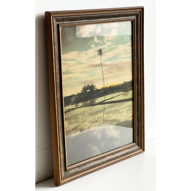 A moody and atmospheric hand-colored photograph featuring a lone palm tree casting a long reflection across flooded rice...