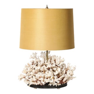 Mid-Century Modernist Coral Table Lamp With Walnut Base & Brass Fittings For Sale