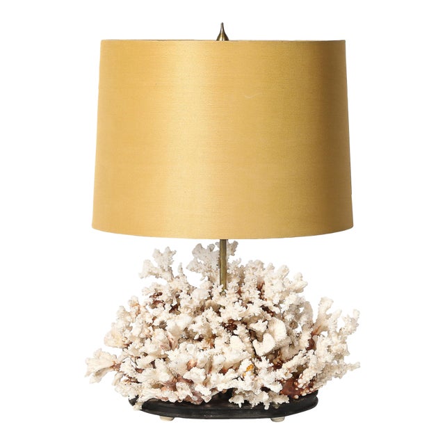 Mid-Century Modernist Coral Table Lamp With Walnut Base & Brass Fittings For Sale