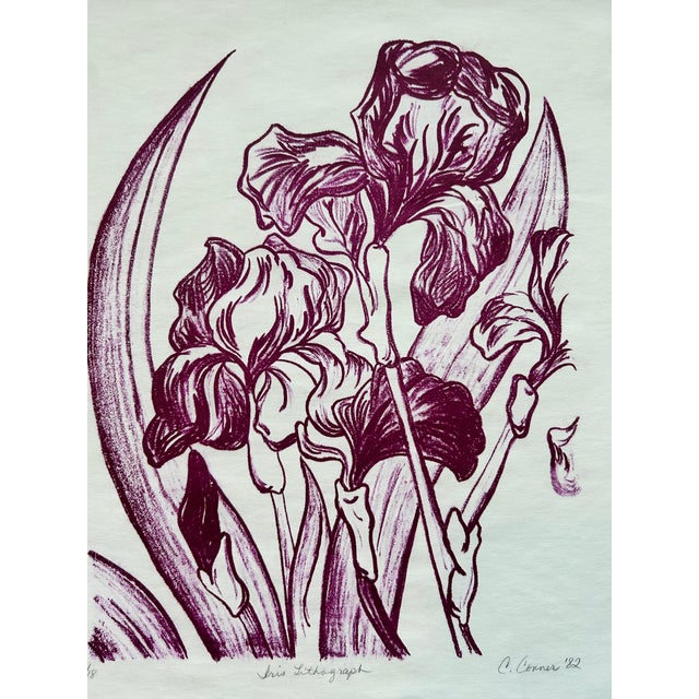 I hand printed this Original lithograph “Burgundy Iris” in 1982. I drew the Iris artwork, then rolled ink on a huge 3 inch...