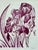 I hand printed this Original lithograph “Burgundy Iris” in 1982. I drew the Iris artwork, then rolled ink on a huge 3 inch...