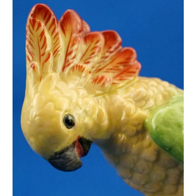 20th Century Porcelain Cockatoo Parrot Sculpture from Rudolstadt Volkstedt Manufacture, Germany For Sale - Image 12 of 18