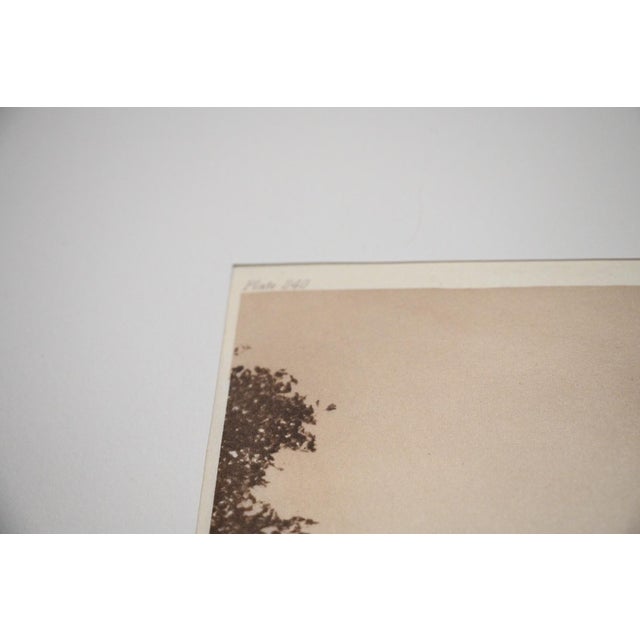 Paper Edward S. Curtis "Kalispel Scene" Photogravure on Gampi Tissue, 1911 — Cardozo Collection For Sale - Image 7 of 7