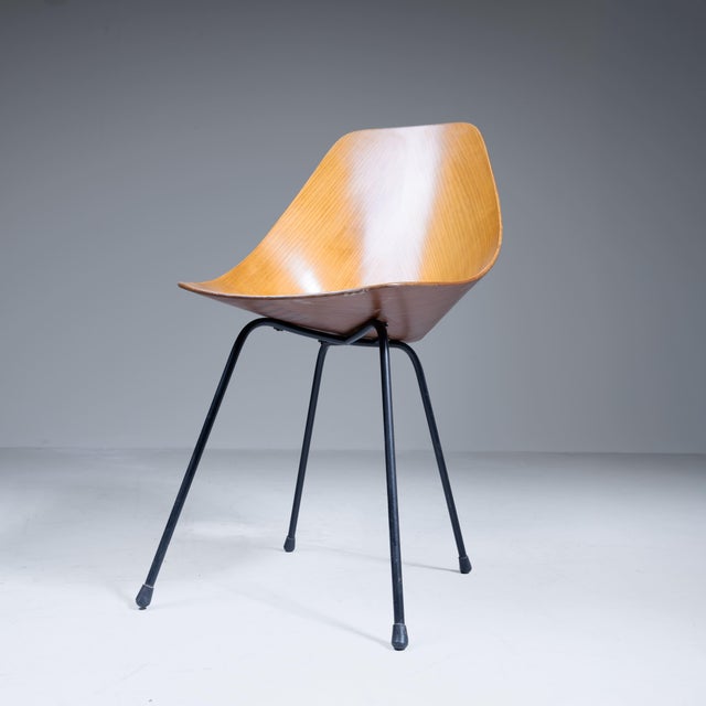 Wood Medea Chairs by Vittorio Nobili, Set of 6 For Sale - Image 7 of 12