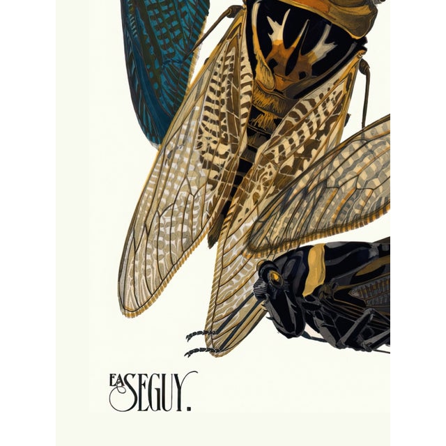 Insects Plate 01 by Emile-Allain Séguy, Vintage Art Print Reproduction, 18" × 24" For Sale - Image 4 of 6
